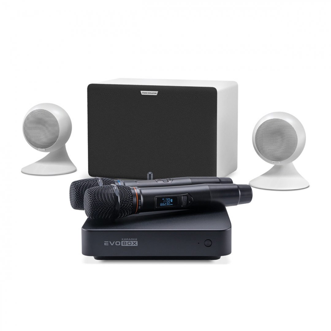 караоке-комплект EVOBOX Classic + EvoSound Sphere 2.1 в Балаково