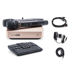 EVOBOX Classic караоке-система для дома в Балаково